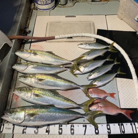 オーシャンスター(Ocean Star) …