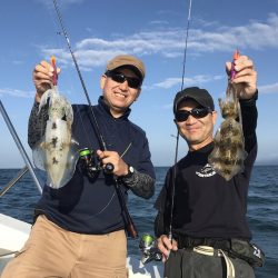 South Current 釣果