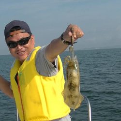 JDI Racing シールズマリンレジャー 釣果