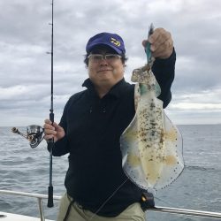 South Current 釣果