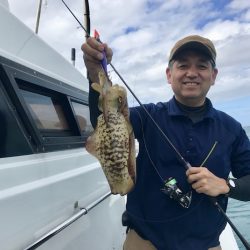 South Current 釣果