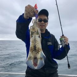 South Current 釣果