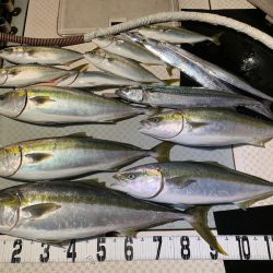 オーシャンスター(Ocean Star) 釣果