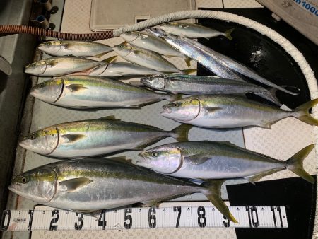 オーシャンスター(Ocean Star) …