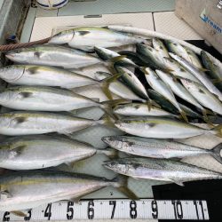 オーシャンスター(Ocean Star) 釣果