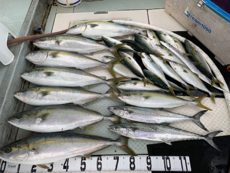 オーシャンスター(Ocean Star) …