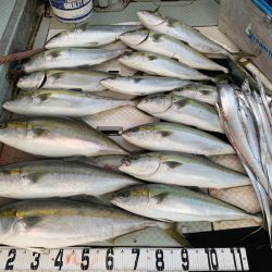 オーシャンスター(Ocean Star) 釣果