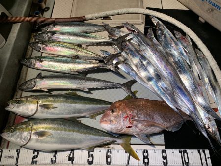 オーシャンスター(Ocean Star) …