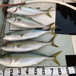 オーシャンスター(Ocean Star) 釣果