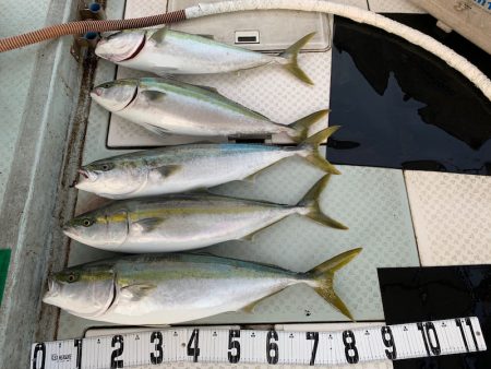 オーシャンスター(Ocean Star) …