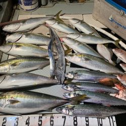 オーシャンスター(Ocean Star) 釣果