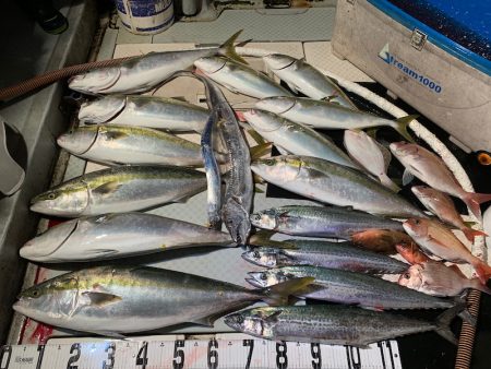 オーシャンスター(Ocean Star) …