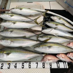 オーシャンスター(Ocean Star) 釣果