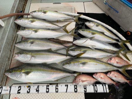 オーシャンスター(Ocean Star) …