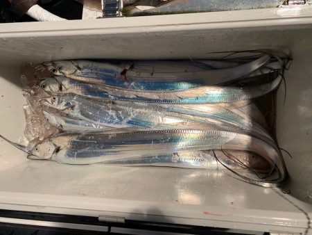 オーシャンスター(Ocean Star) 釣果