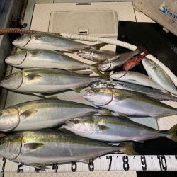 オーシャンスター(Ocean Star) 釣果