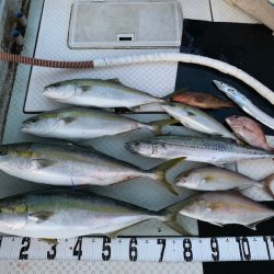 オーシャンスター(Ocean Star) 釣果