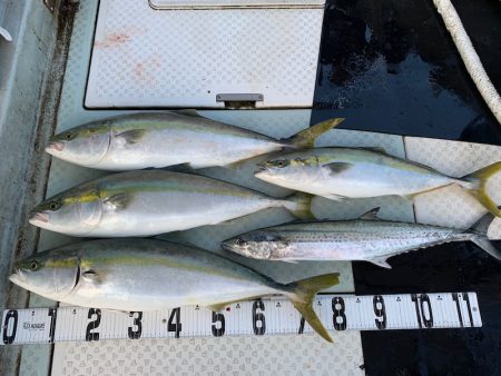 オーシャンスター(Ocean Star) …