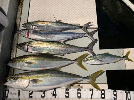 オーシャンスター(Ocean Star) …