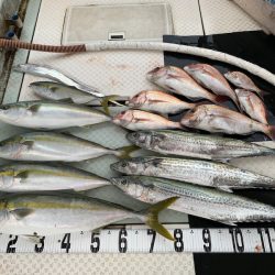 オーシャンスター(Ocean Star) 釣果