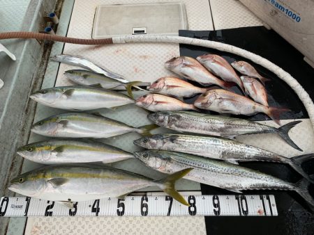 オーシャンスター(Ocean Star) …