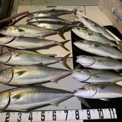 オーシャンスター(Ocean Star) 釣果