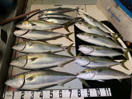 オーシャンスター(Ocean Star) …