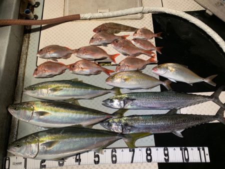 オーシャンスター(Ocean Star) …