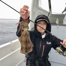 South Current 釣果