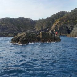 宮島丸 釣果