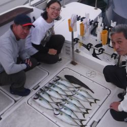 JDI Racing シールズマリンレジャー 釣果