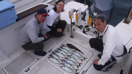 ＪＤＩ　Ｒａｃｉｎｇ　シールズマリンレジャ…