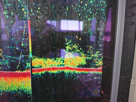 深川 吉野屋 釣果