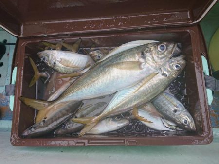 深川 吉野屋 釣果