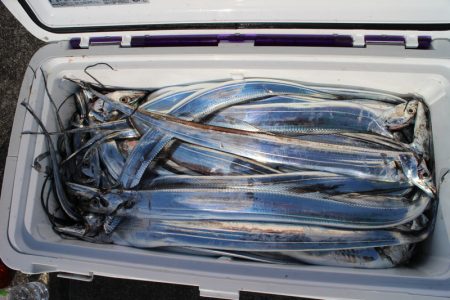 KIM Fishing Guide Ser…