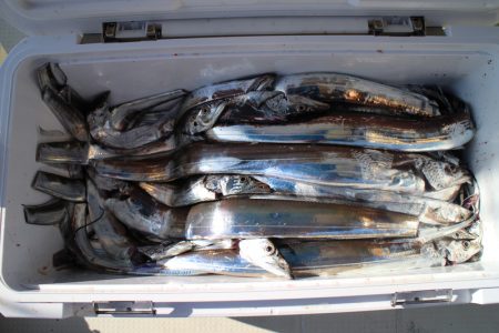 KIM Fishing Guide Ser…