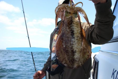 KIM Fishing Guide Service 釣果