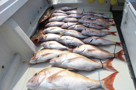 KIM Fishing Guide Ser…