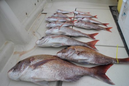 KIM Fishing Guide Ser…