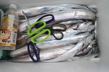 KIM Fishing Guide Service 釣果