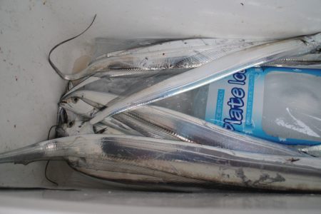 KIM Fishing Guide Service 釣果