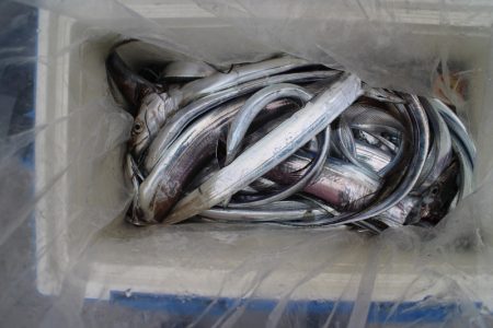 KIM Fishing Guide Service 釣果