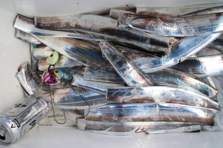 KIM Fishing Guide Service 釣果