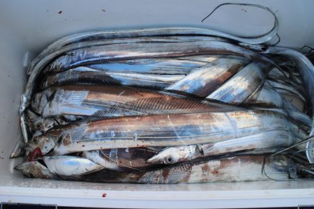 KIM Fishing Guide Ser…