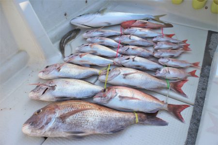 KIM Fishing Guide Ser…