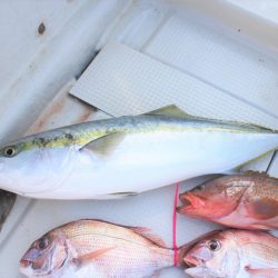 KIM Fishing Guide Service 釣果