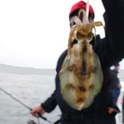 KIM Fishing Guide Service 釣果