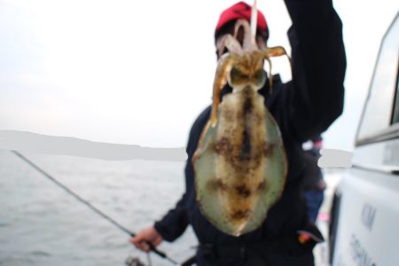 KIM Fishing Guide Service 釣果