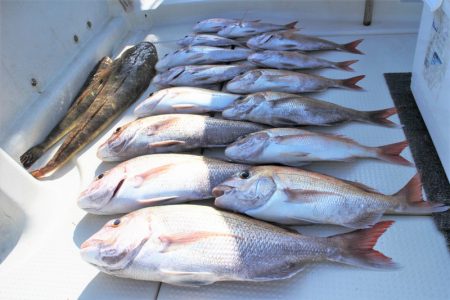 KIM Fishing Guide Ser…