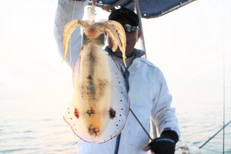 KIM Fishing Guide Ser…